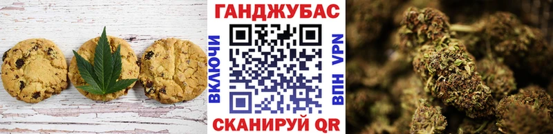 mega маркетплейс  где продают наркотики  Алзамай  Cannafood марихуана 