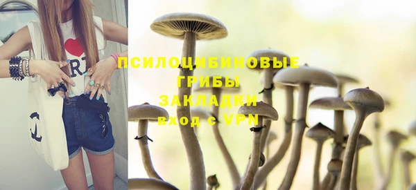 стаф Алексин