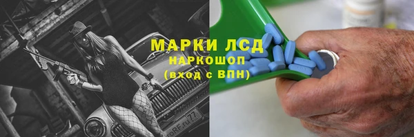 стаф Алексин