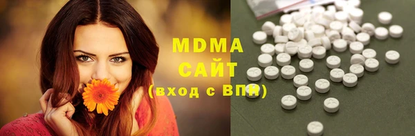 стаф Алексин