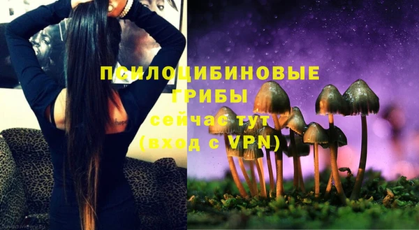 круглые Алзамай
