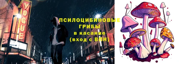 стаф Алексин