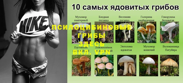круглые Алзамай